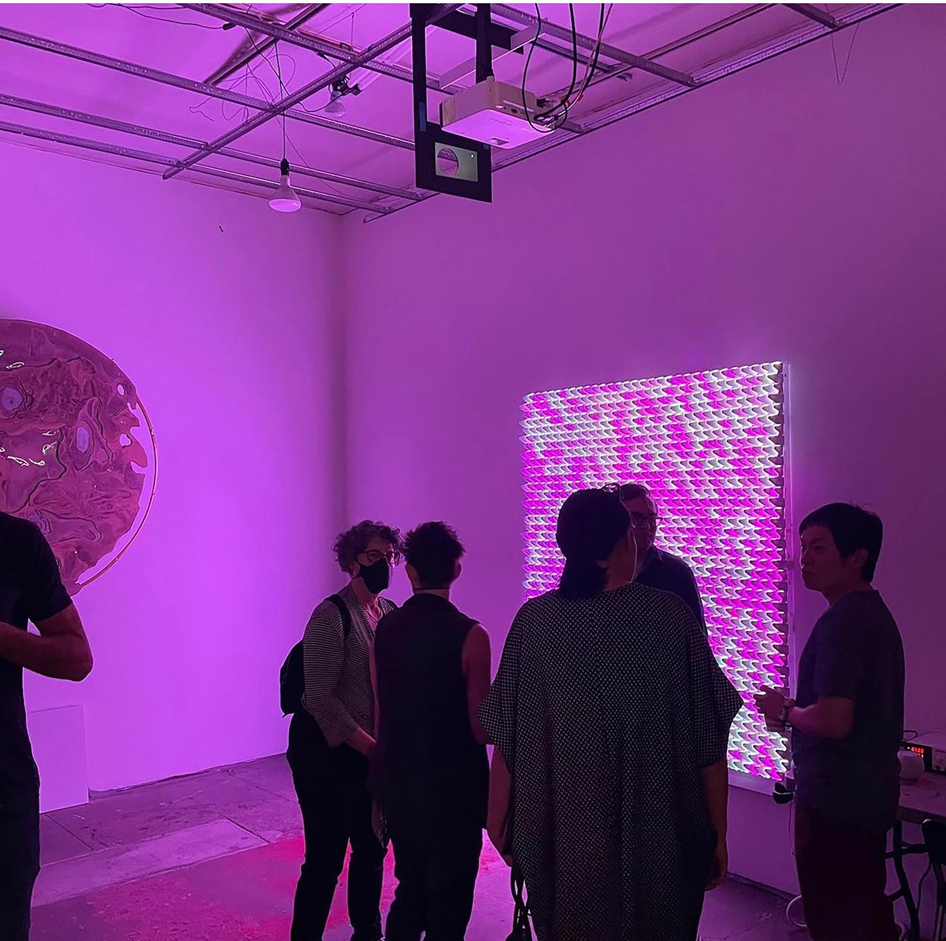 « Dragon Scales » - Sculpture lumineuse et vidéo en vente 3
