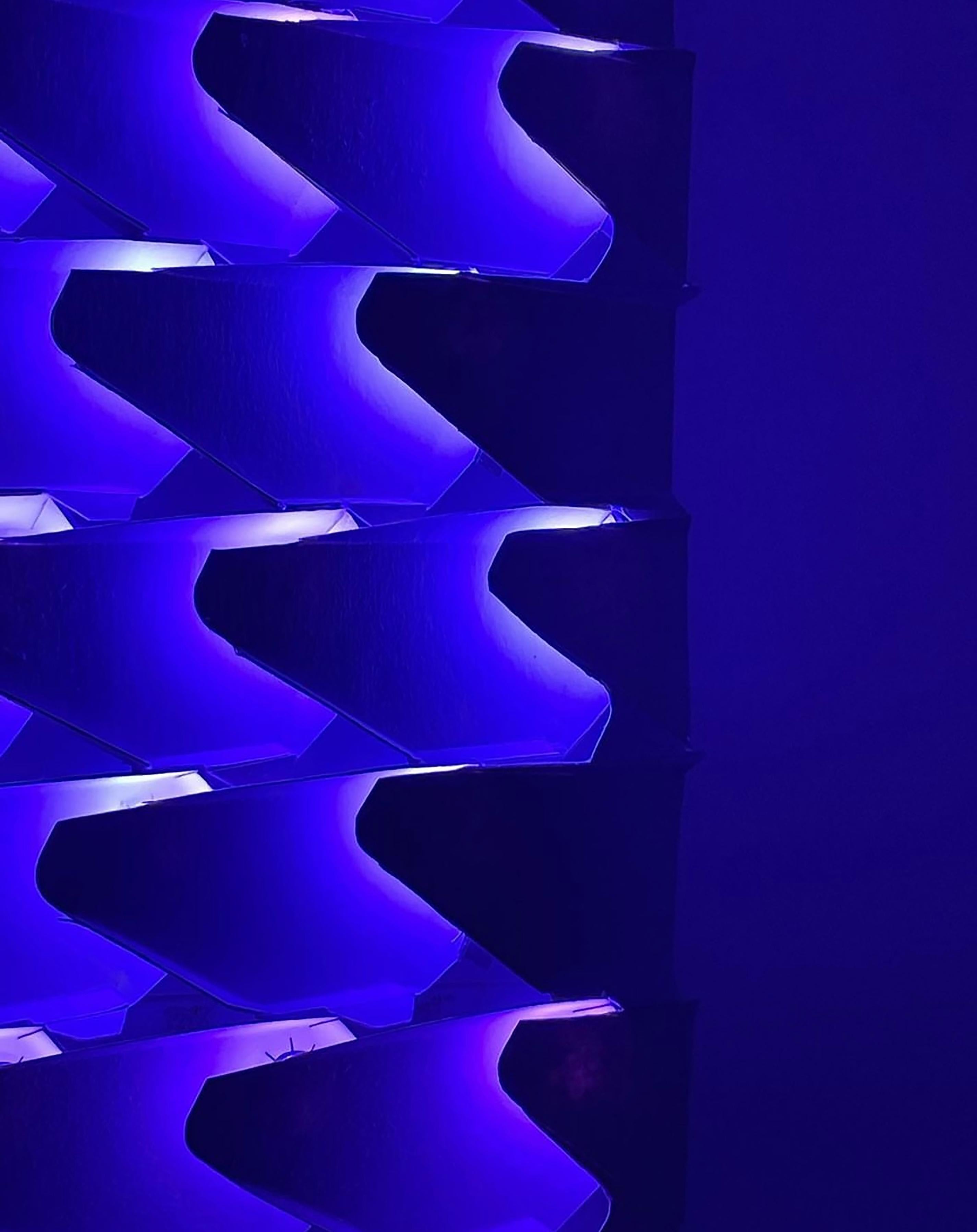 « Dragon Scales » - Sculpture lumineuse et vidéo en vente 2
