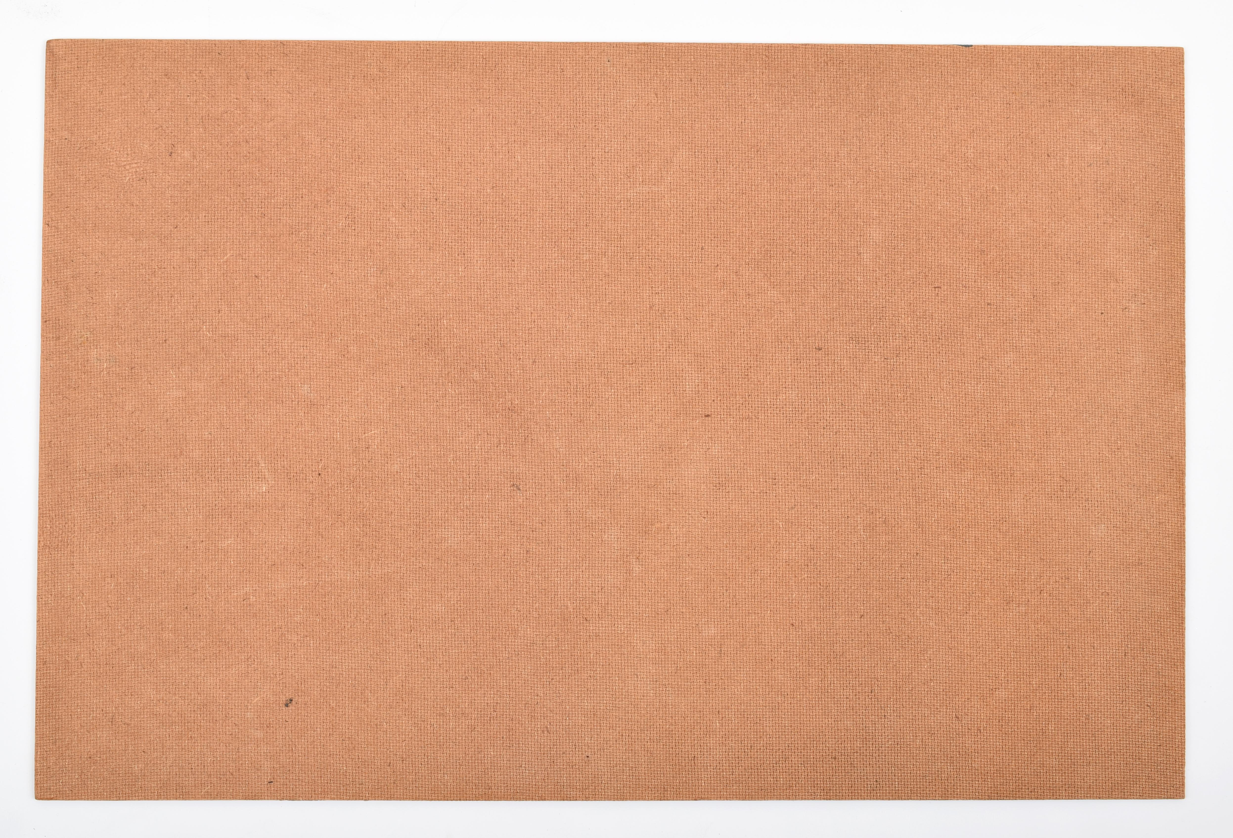 Justin McCarthy Gemälde WHITE FANG , Outsider Art im Angebot 4