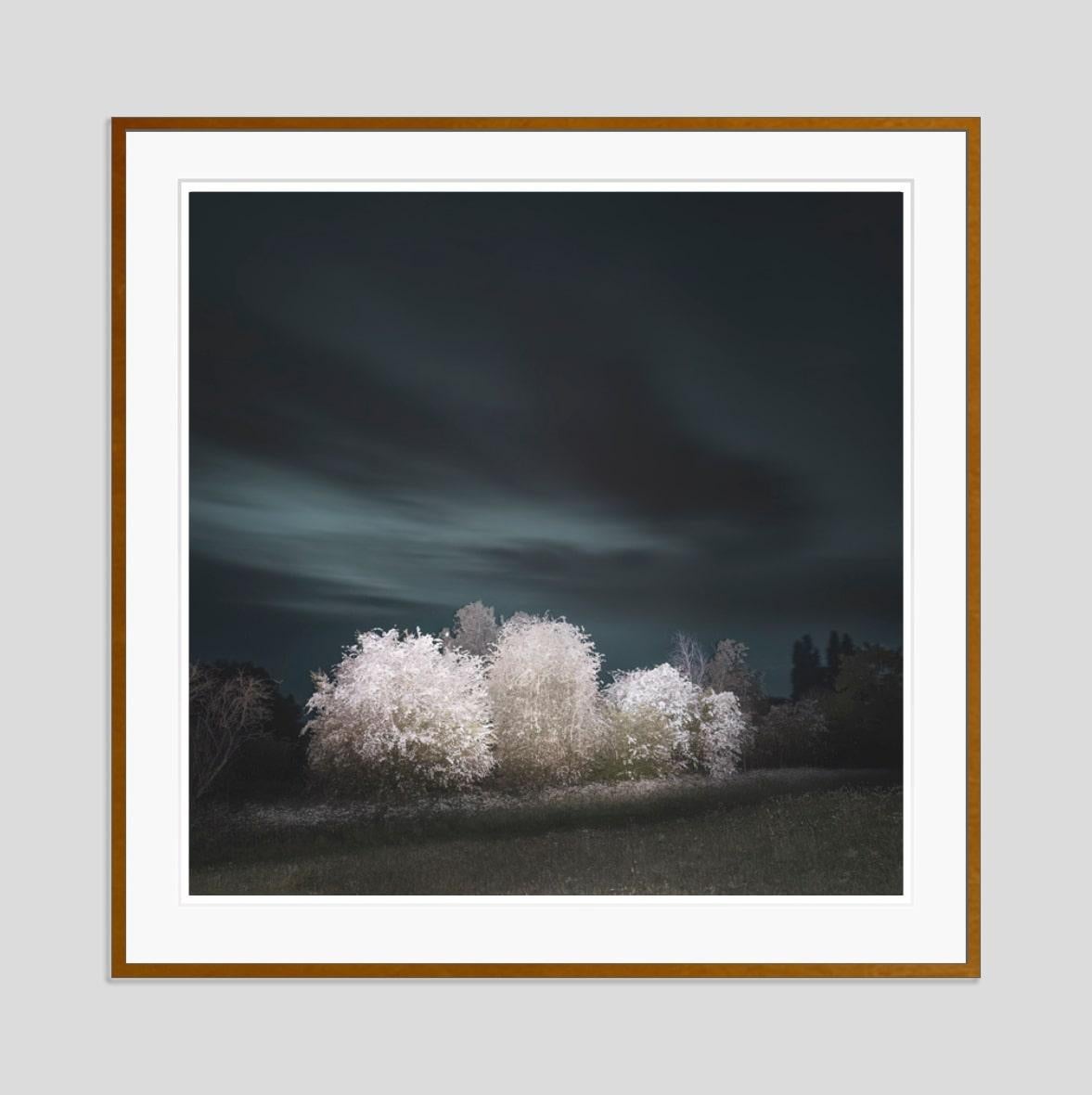 Hawthorn

By Justin Pumfrey

Archival pigment print

Paper size: 20 x 16