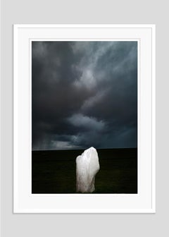 High and Wild von Justin Pumfrey