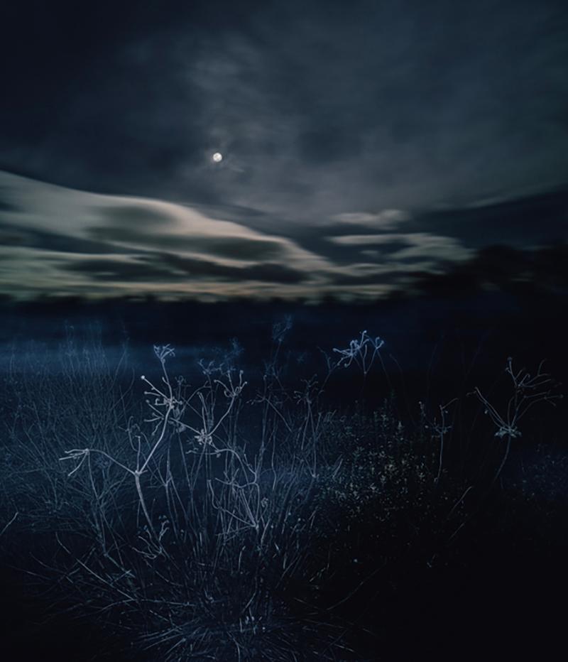 Justin Pumfrey  Landscape Photograph – staying A While