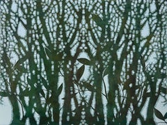 The Forest Nor The Trees