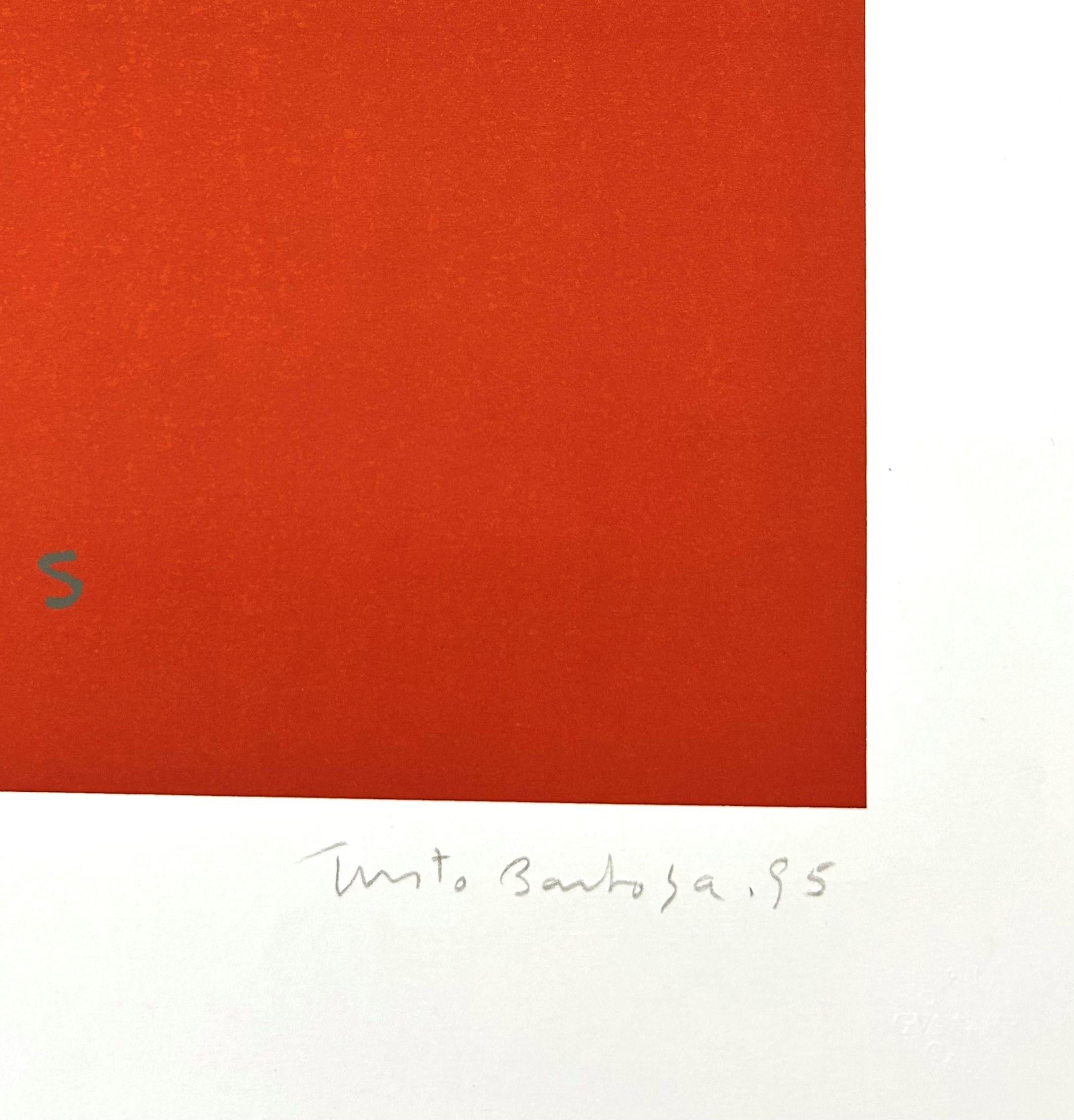Argentino firmato in edizione limitata, stampa d'arte originale in serigrafia 27x19 in. n11 - Print Contemporaneo di Justo Barboza