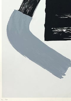 Argentinean signed limited edition original art print silkscreen 27x19 in. n4