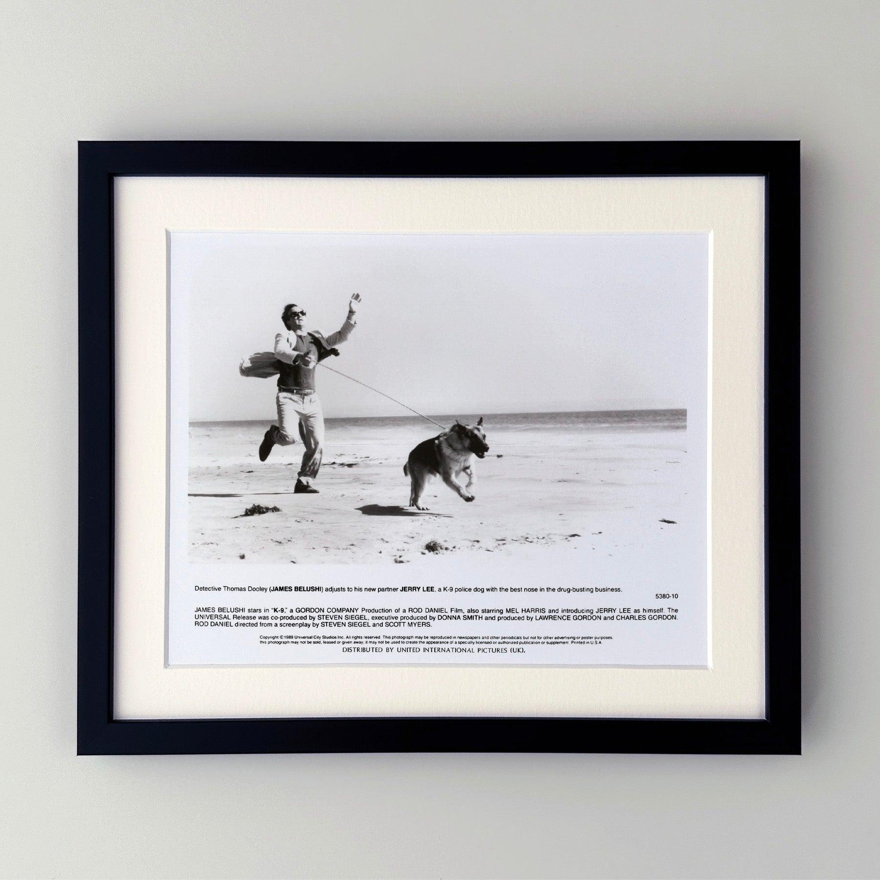 Original 8x10 Zoll Pressestill für K-9 (1989) mit Jim Belushi, Mel Harris und Kevin Tighe in den Hauptrollen und unter der Regie von Rod Daniel.

Werbefotos (Film/Produktion) wurden erstellt, um die Studios bei der Werbung für ihre neuen Filme zu