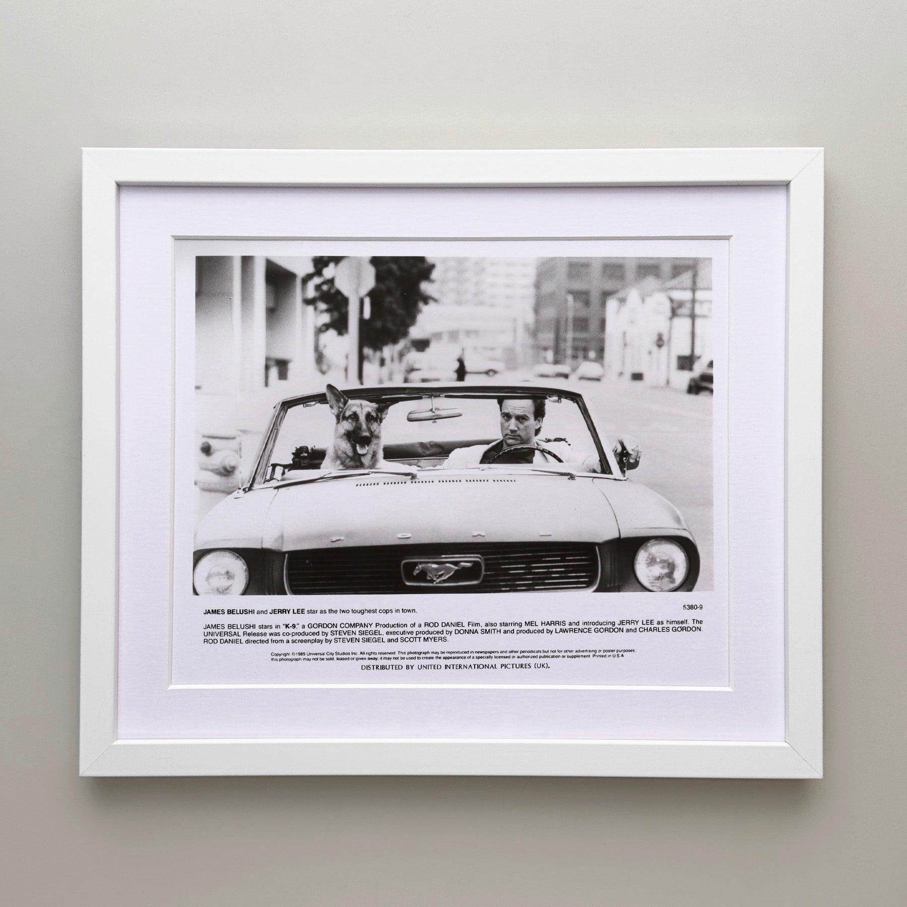 K-9 1989 Presse-Werbebild - gerahmt (Britisch) im Angebot