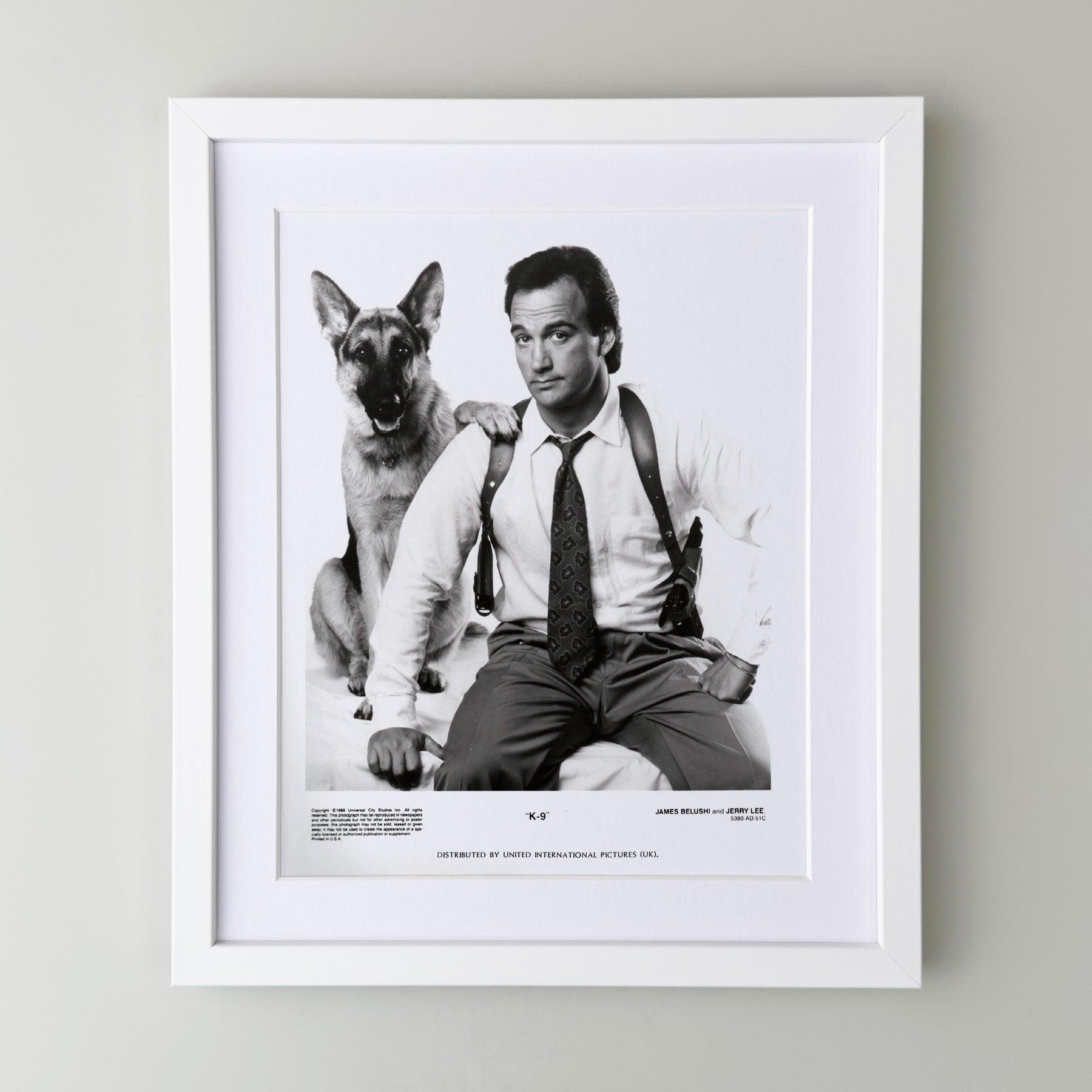 K-9 1989 Presse-Werbebild - gerahmt (Britisch) im Angebot