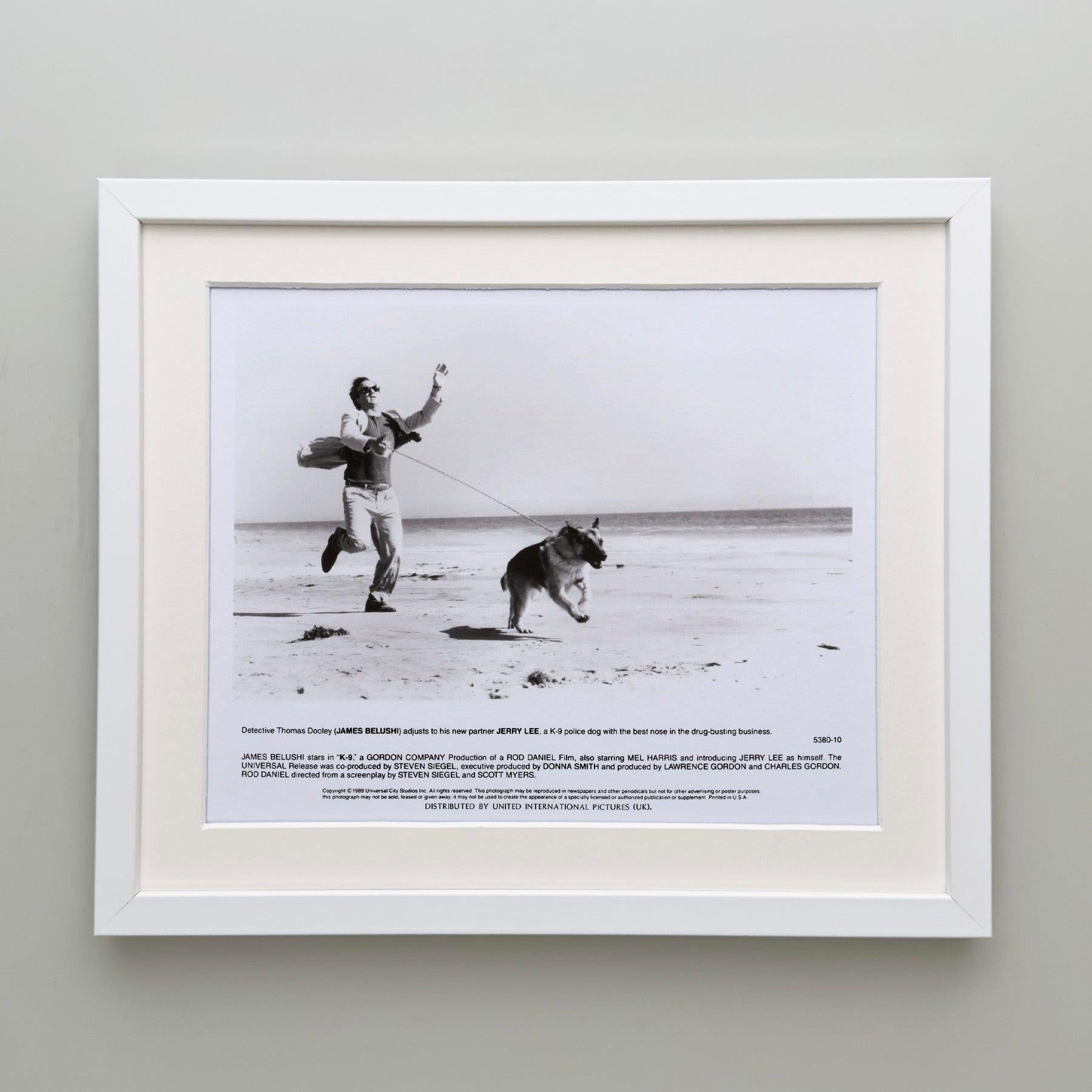K-9 1989 Presse-Werbebild - gerahmt im Zustand „Hervorragend“ im Angebot in Bath, Somerset