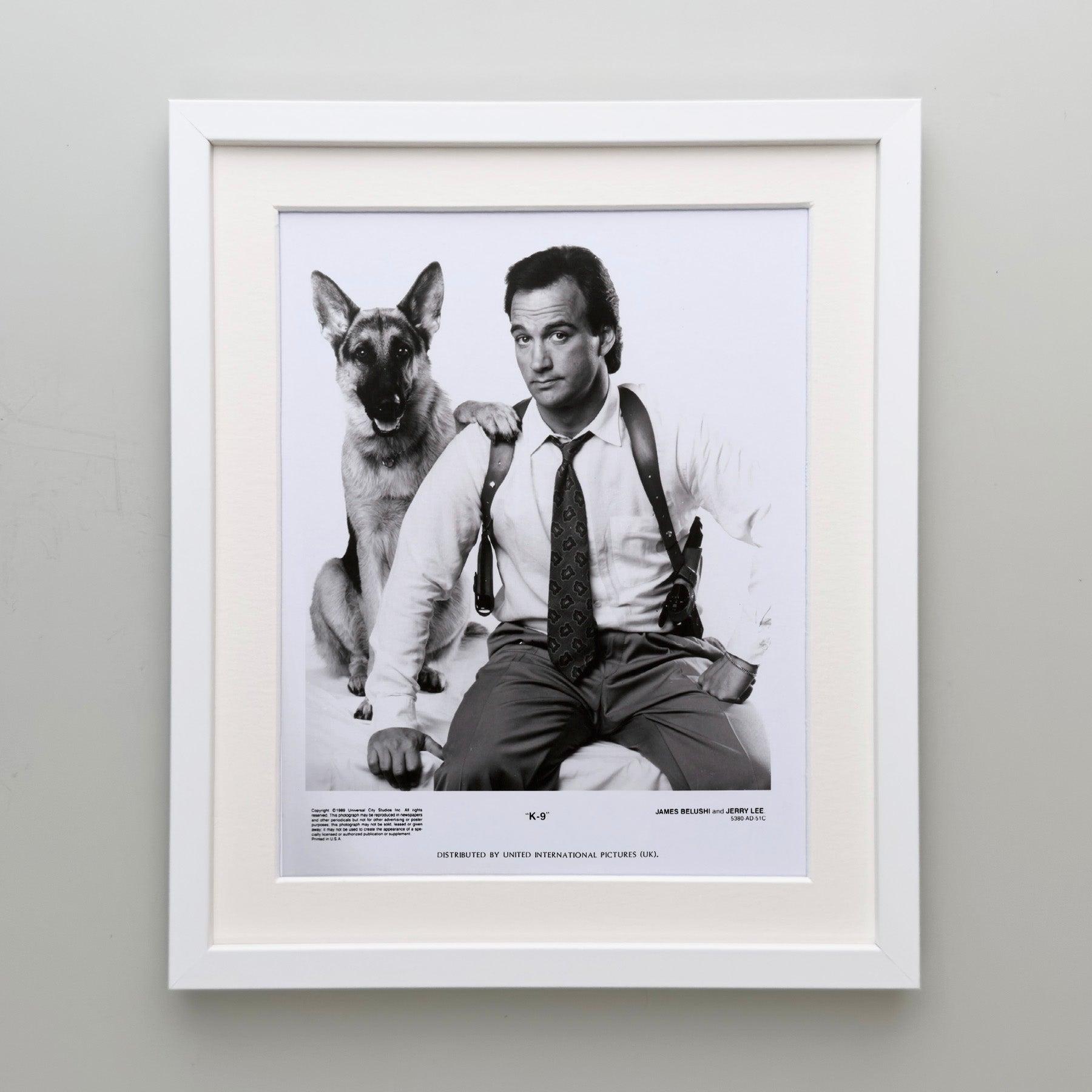 K-9 1989 Presse-Werbebild - gerahmt im Zustand „Hervorragend“ im Angebot in Bath, Somerset