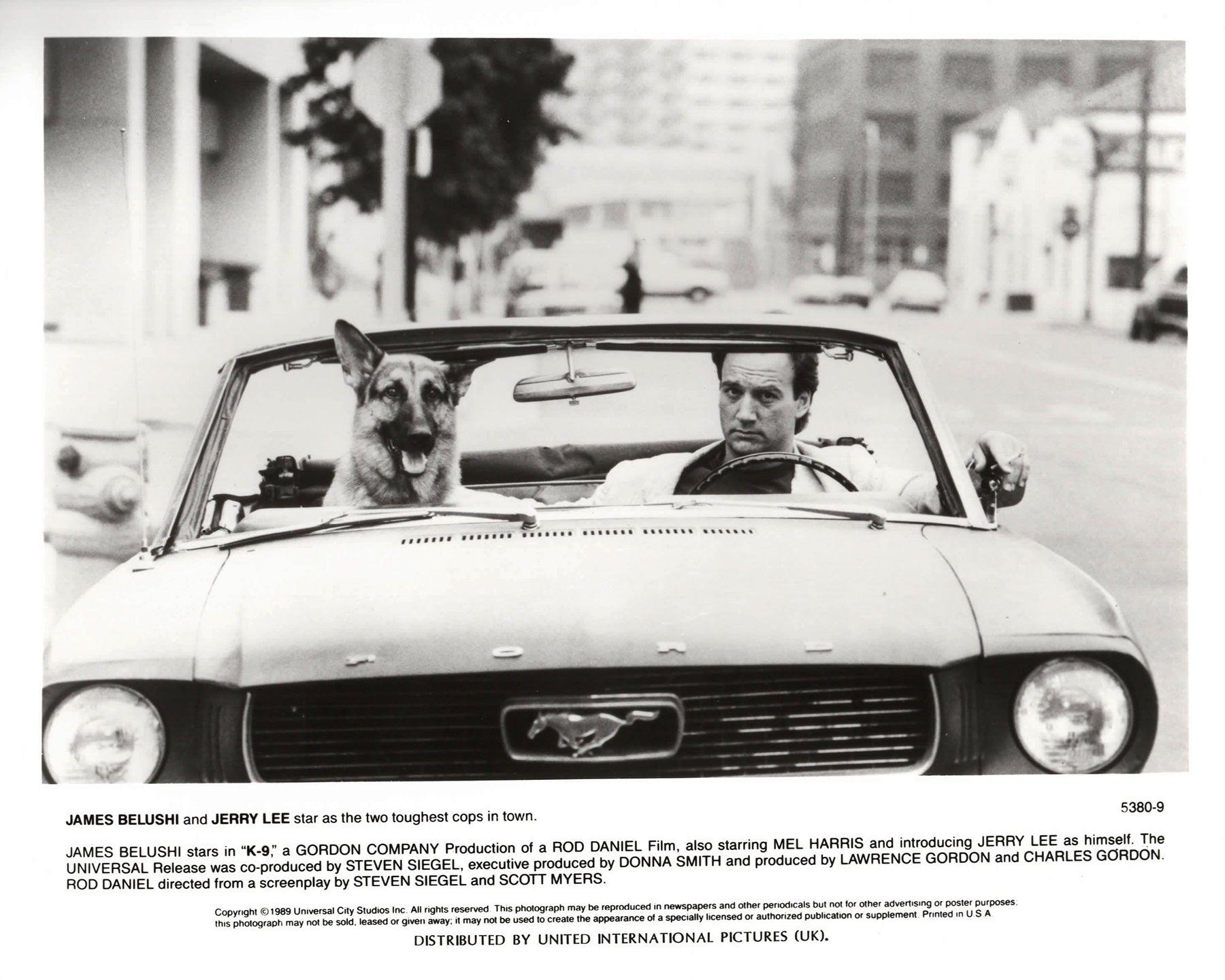 K-9 1989 Presse-Werbebild - gerahmt (Papier) im Angebot