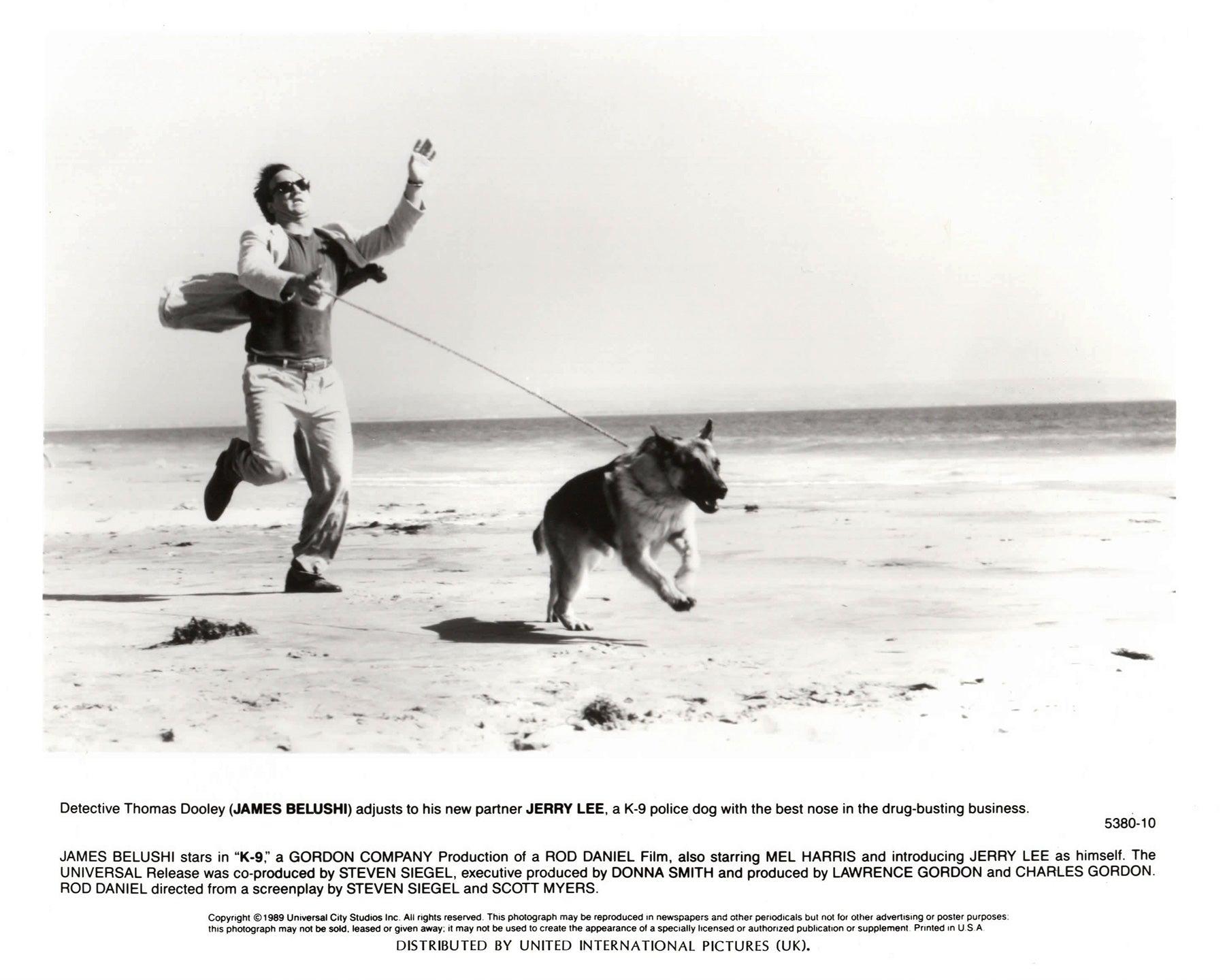 K-9 1989 Presse-Werbebild - gerahmt (Papier) im Angebot