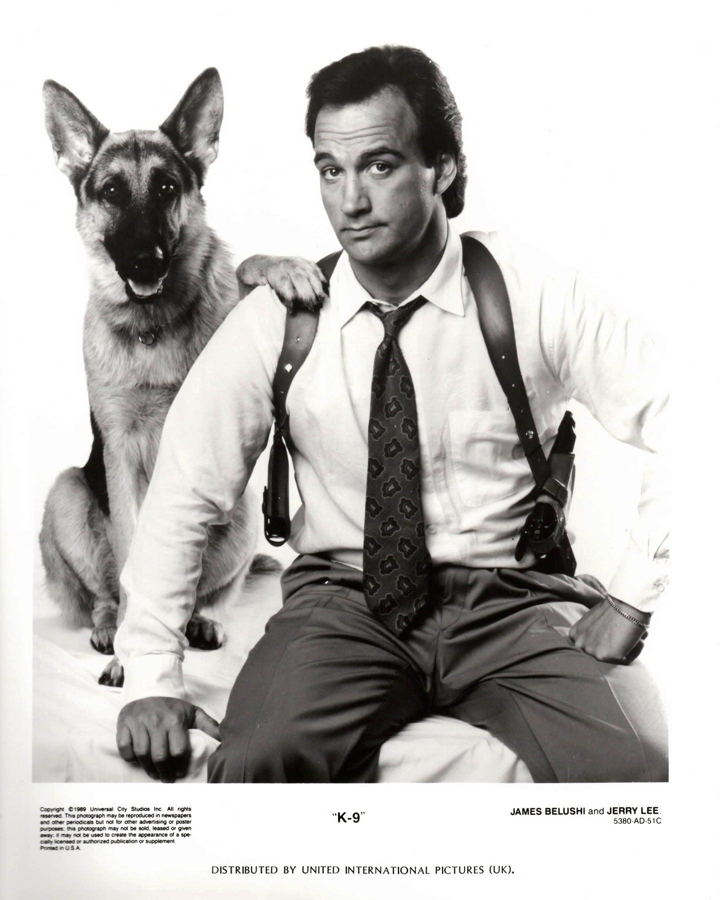 K-9 1989 Presse-Werbebild - gerahmt (Papier) im Angebot