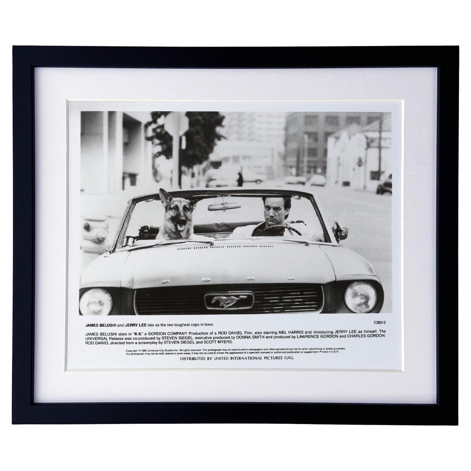 K-9 1989 Presse-Werbebild - gerahmt