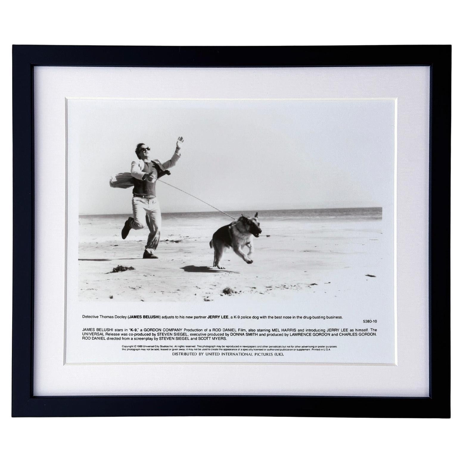K-9 1989 Presse-Werbebild - gerahmt im Angebot