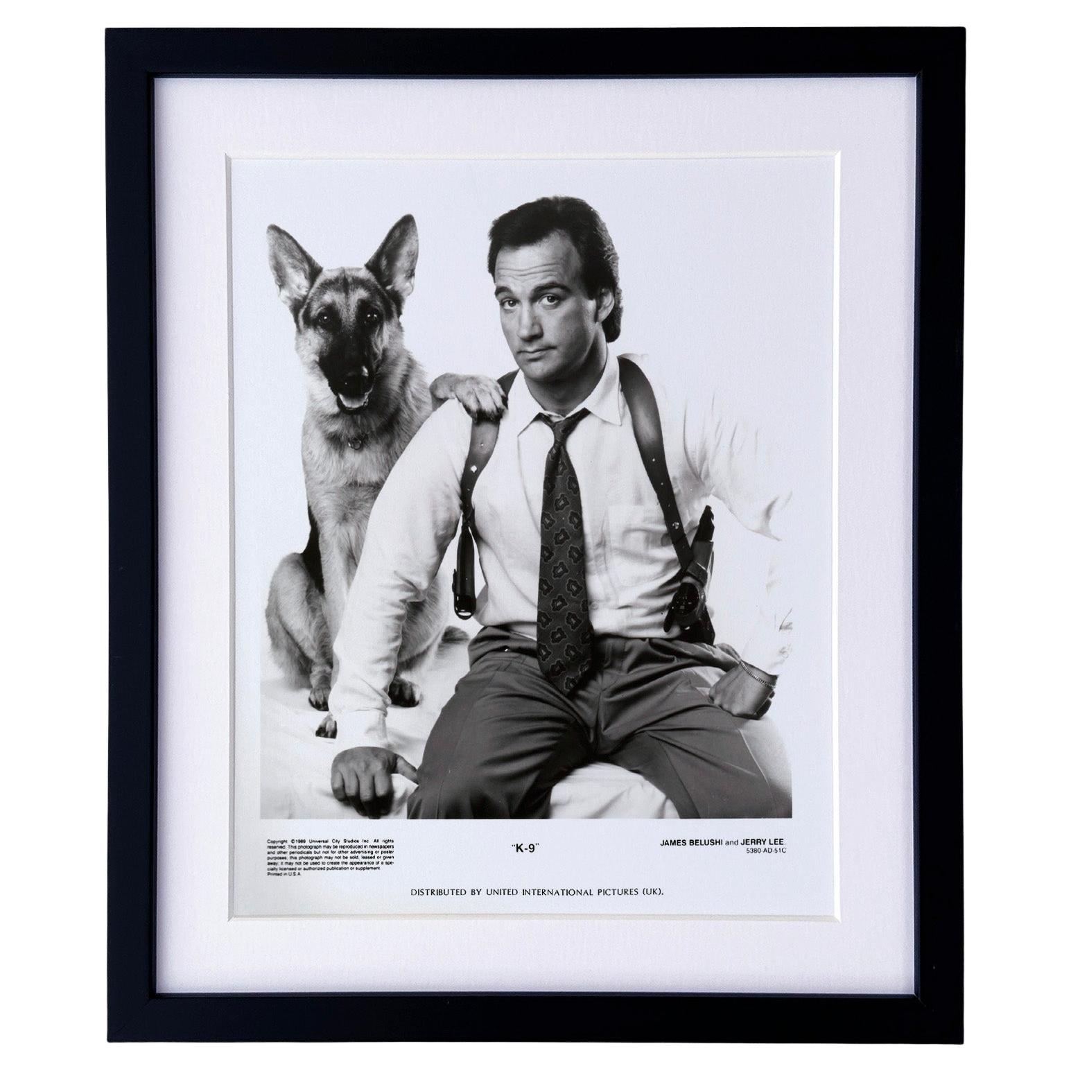 K-9 1989 Presse-Werbebild - gerahmt