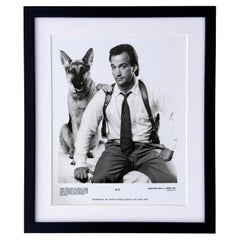 K-9 1989 Presse-Werbebild - gerahmt