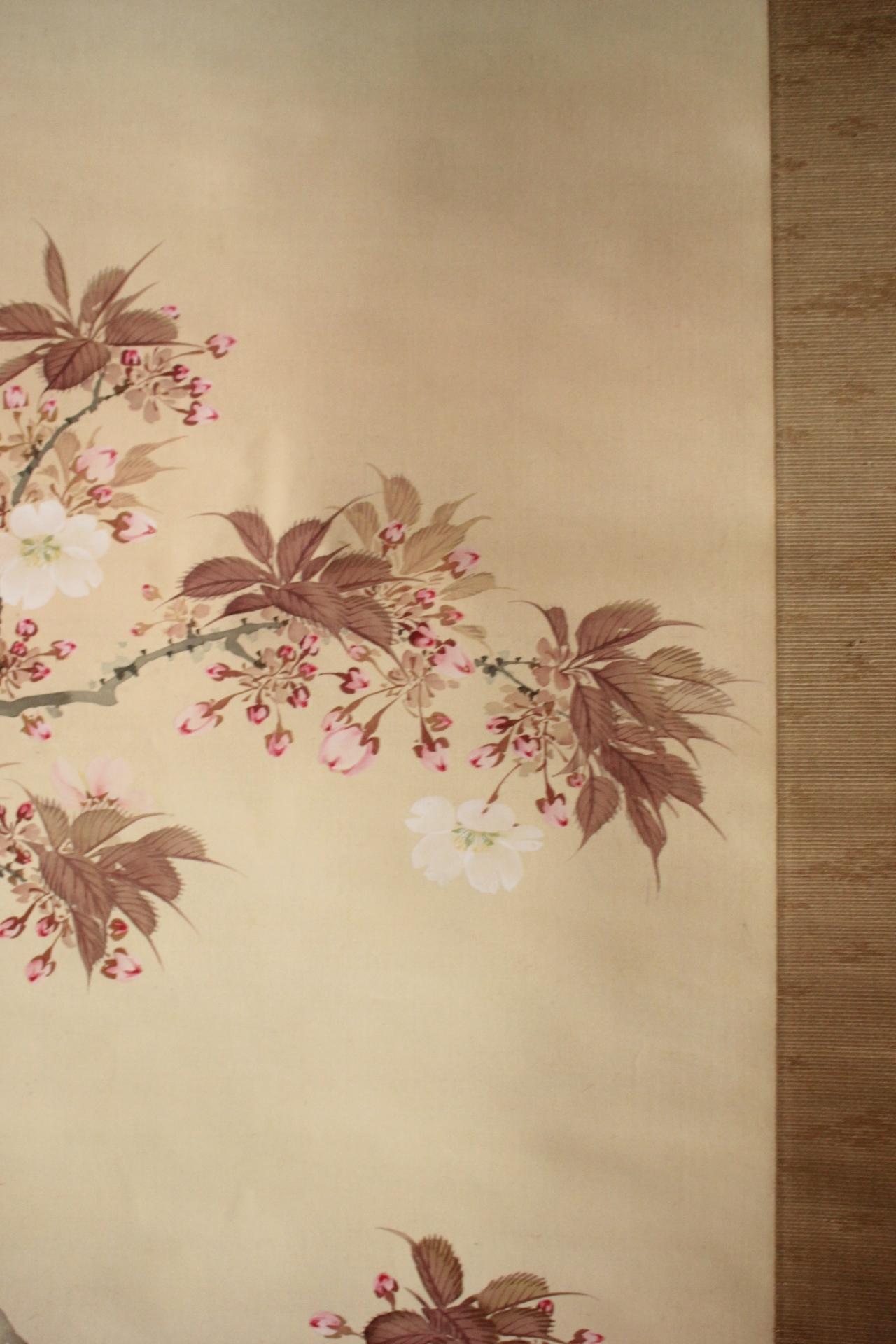 Silk K10 Japanese Antiques Hanging scroll, Cherry blossom painting, silk For Sale