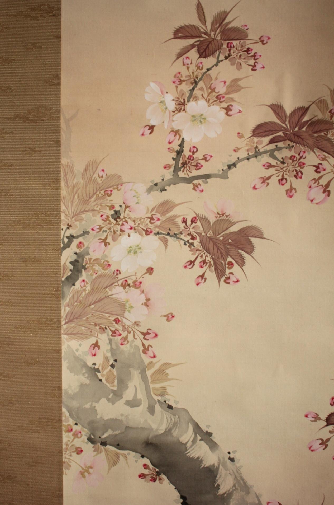 K10 Japanese Antiques Hanging scroll, Cherry blossom painting, silk For Sale 1