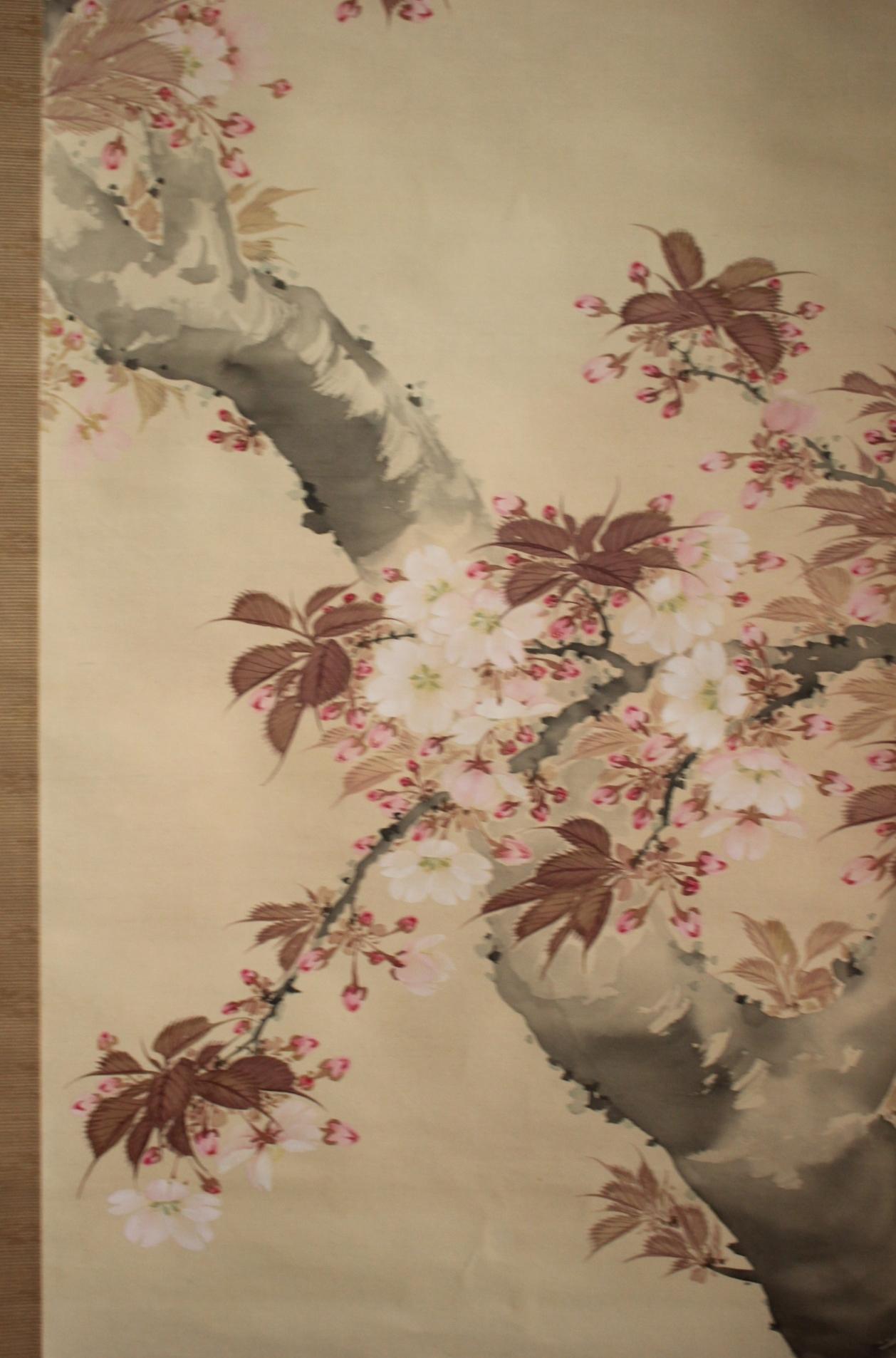 K10 Japanese Antiques Hanging scroll, Cherry blossom painting, silk For Sale 2