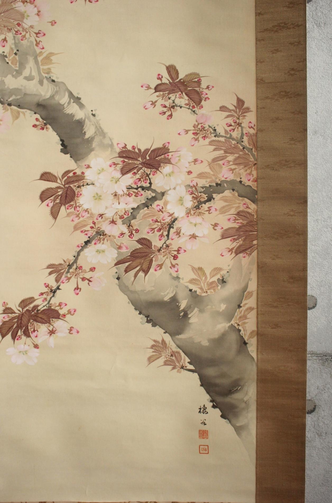 K10 Japanese Antiques Hanging scroll, Cherry blossom painting, silk For Sale 3