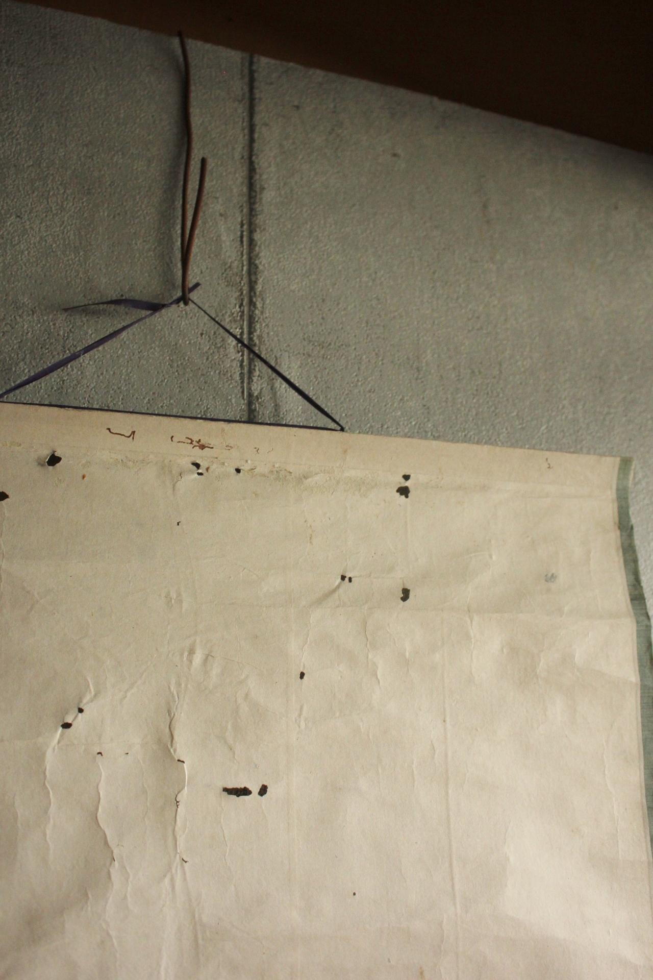 K12 Antigüedades japonesas Un pergamino colgante, tigre pintado por desconocido Escuela de Nagasaki en venta 6