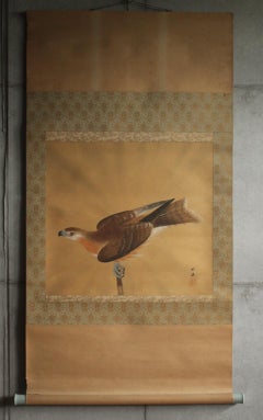 K14 Japanese antiques Art A hanging scroll, a hawk