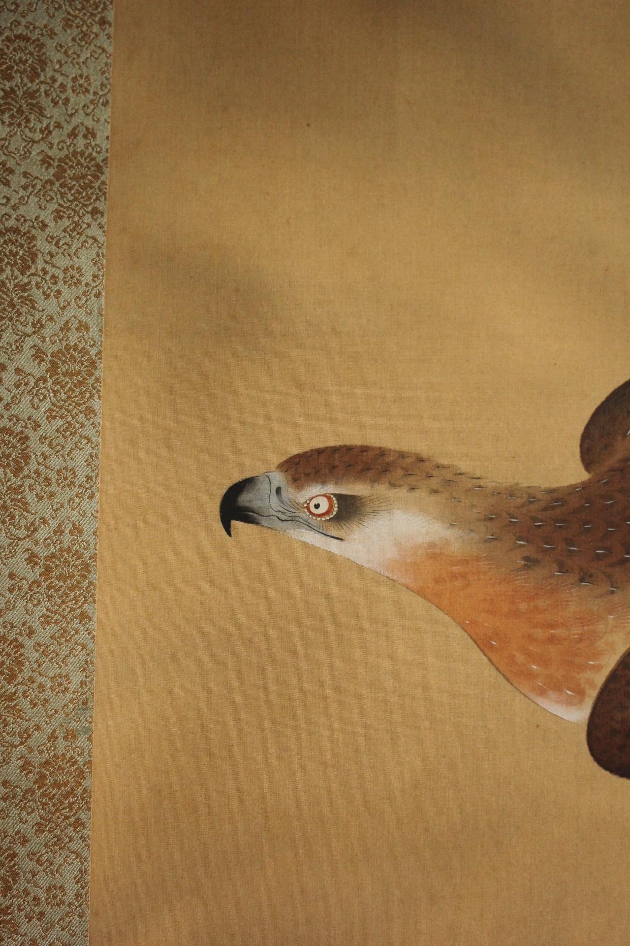 K14 Antigüedades japonesas Arte Un pergamino colgante, un halcón en venta 1