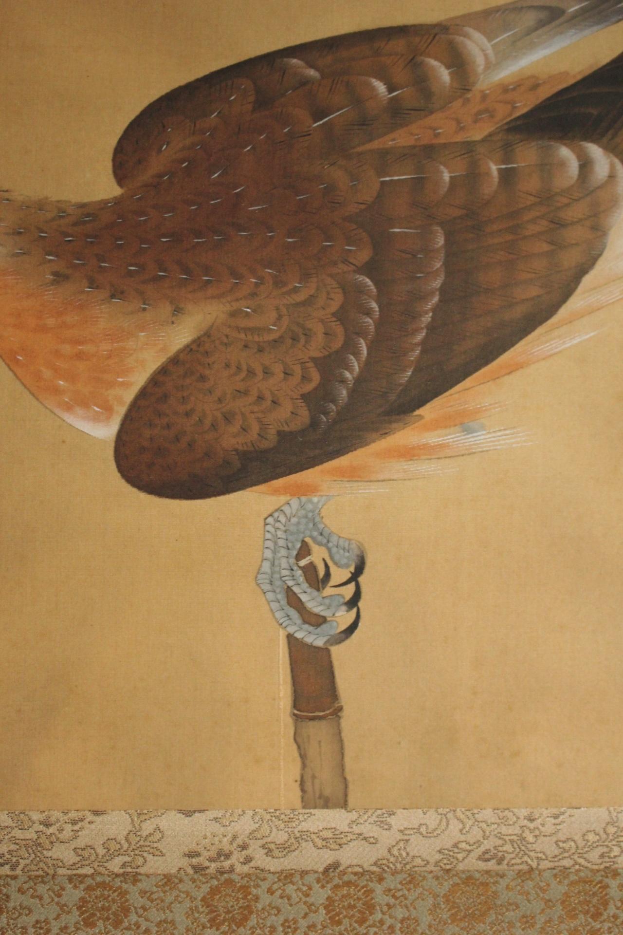 K14 Antigüedades japonesas Arte Un pergamino colgante, un halcón en venta 2