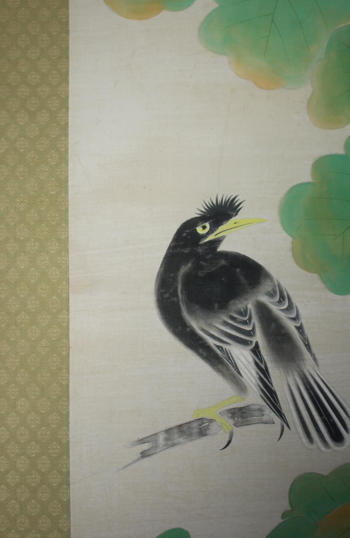 Silk K20 Japanese Antiques A hanging scroll,  Fringed Bird color on Paper painted For Sale