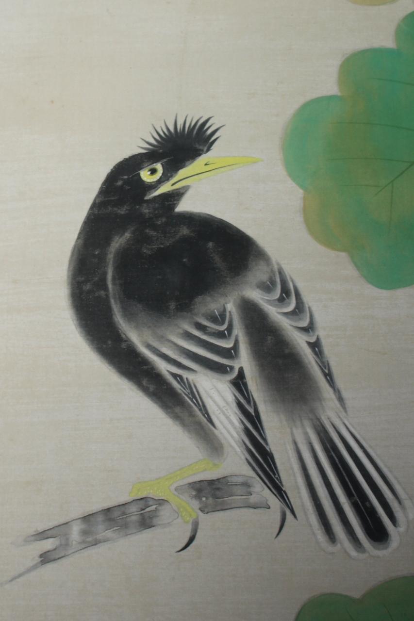 K20 Japanese Antiques A hanging scroll,  Fringed Bird color on Paper painted For Sale 1