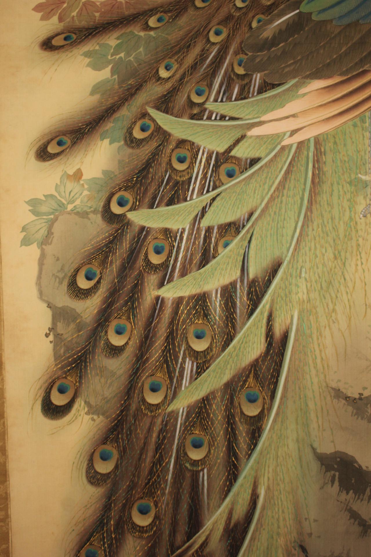 K29 Antigüedades japonesas Un pergamino colgante, Pavo real sobre seda en venta 4