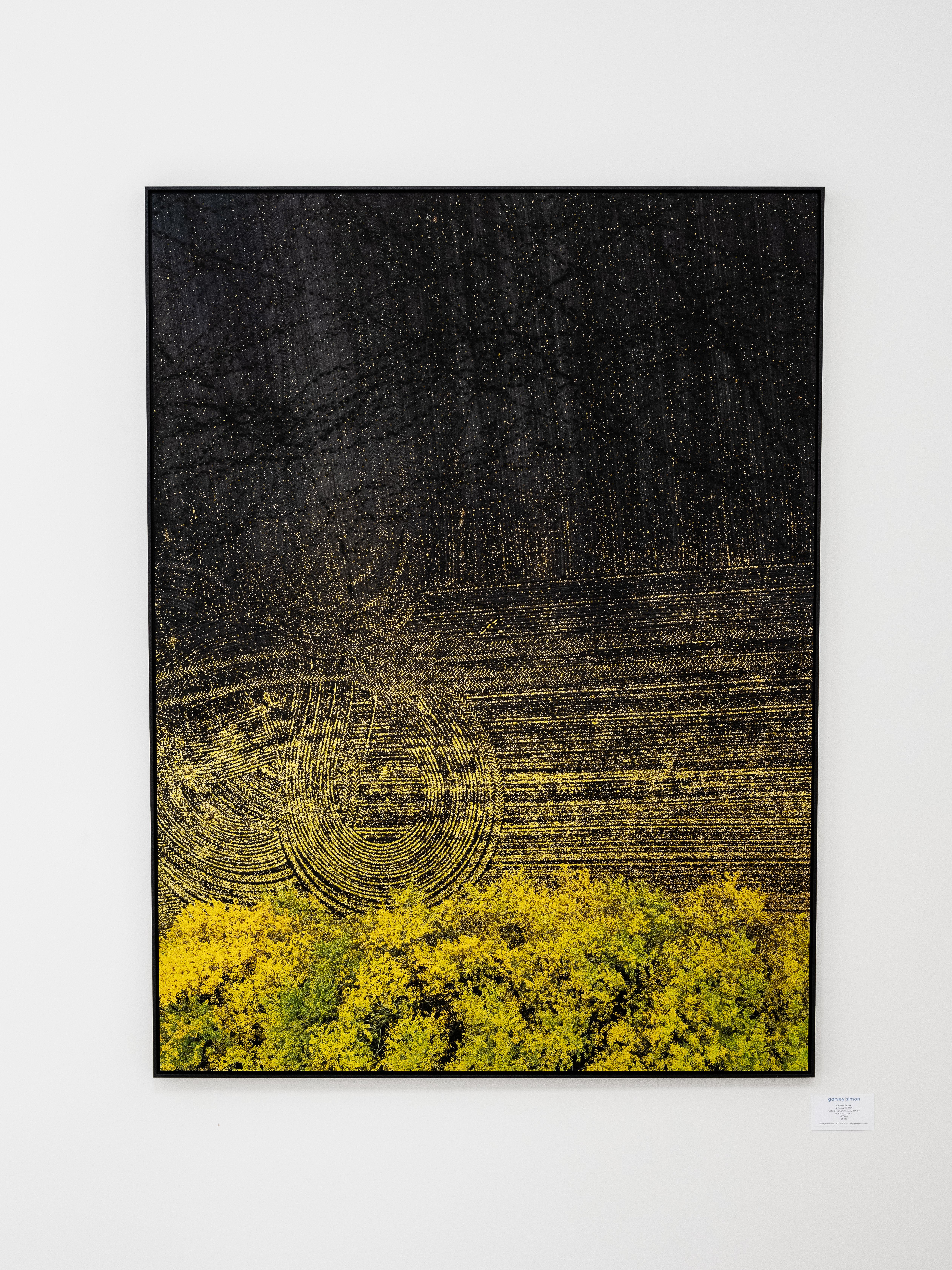 Otoño #70, fotografía abstracta de paisaje aéreo - Photograph de Kacper Kowalski