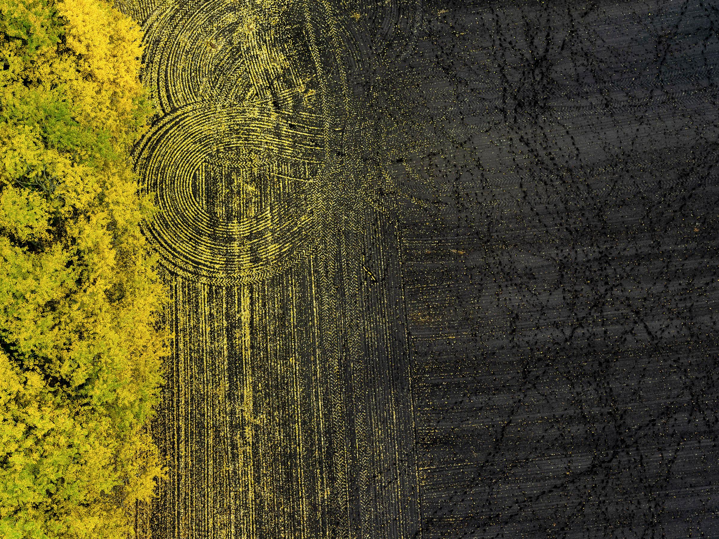 Kacper Kowalski Abstract Photograph - Autumn #70, abstract aerial landscape photograph