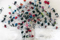 Czarna Góra #1, 2013, fotografía abstracta de paisaje aéreo