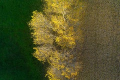 Kacper Kowalski, Seasons/Autumn #32, abstract aerial landscape photograph, 2015