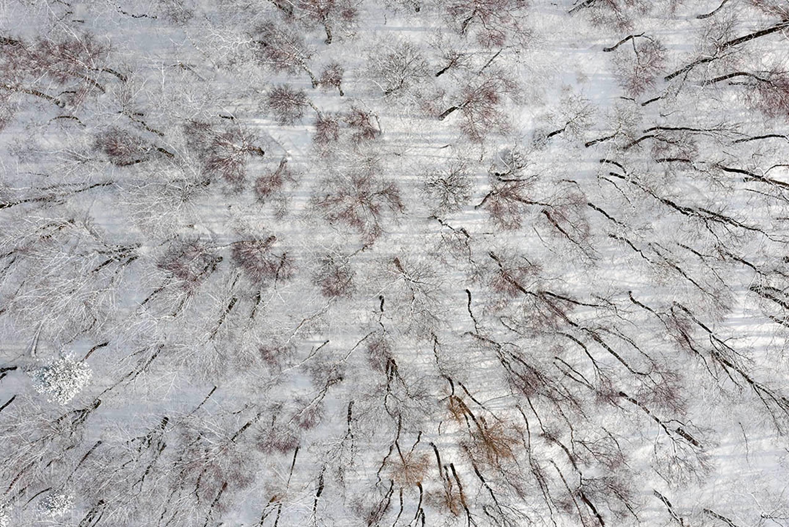 Kacper Kowalski Landscape Photograph - Seasons/Winter #02, abstract aerial landscape photograph