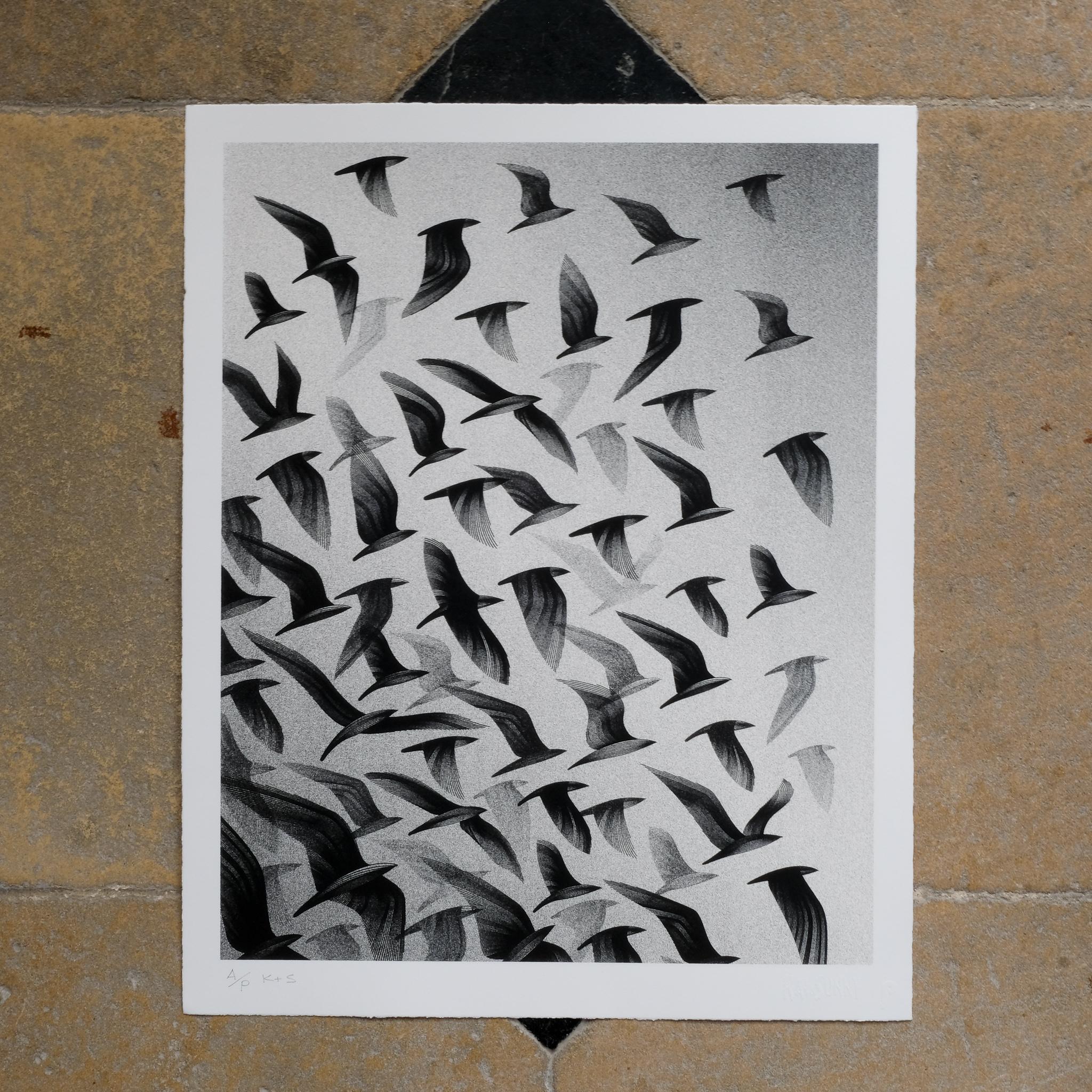 Screenprint in black and white, 2011, on Somerset 300gsm paper, initialled in pencil, inscribed ‘A/P’ (an artist’s proof aside from the edition of 125), with the artist’s blindstamp, from the portfolio Ghosts of Gone Birds, printed and published by