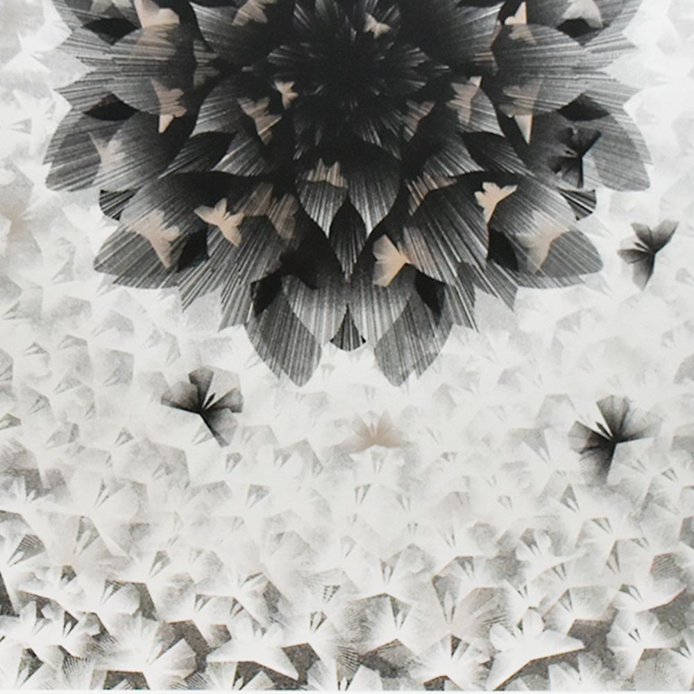 Stunning shimmer to this gorgeous silver print which looks like it is filled with butterflies. 
Has stardust which gives it a great texture and shine.
Hand numbered, AP (Artist Proof) and signed by Kai & Sunny on bottom left of print.
Rare Artist