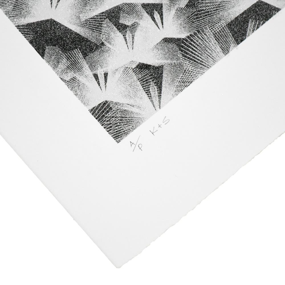 Just An Illusion 2 (Silver Artist Proof) For Sale 1