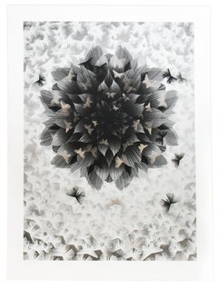 Just An Illusion 2 (Silver Artist Proof)