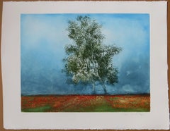 Champs de Lavande (Fields of Lavender)