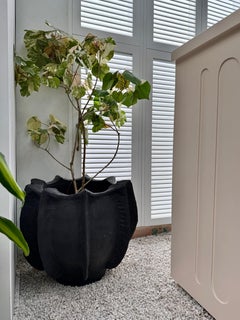Maceta Kala Kamal by Deetee Home