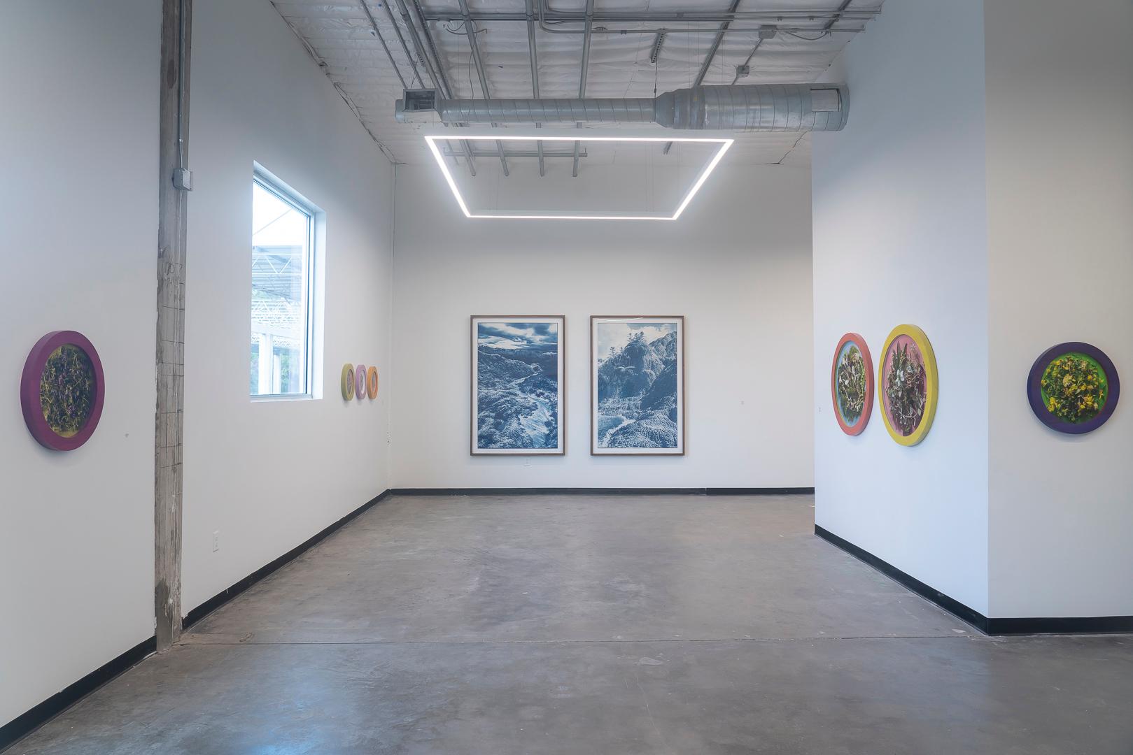 A Study of Neon Green(1/3), photographie florale contemporaine, cadre rond 1