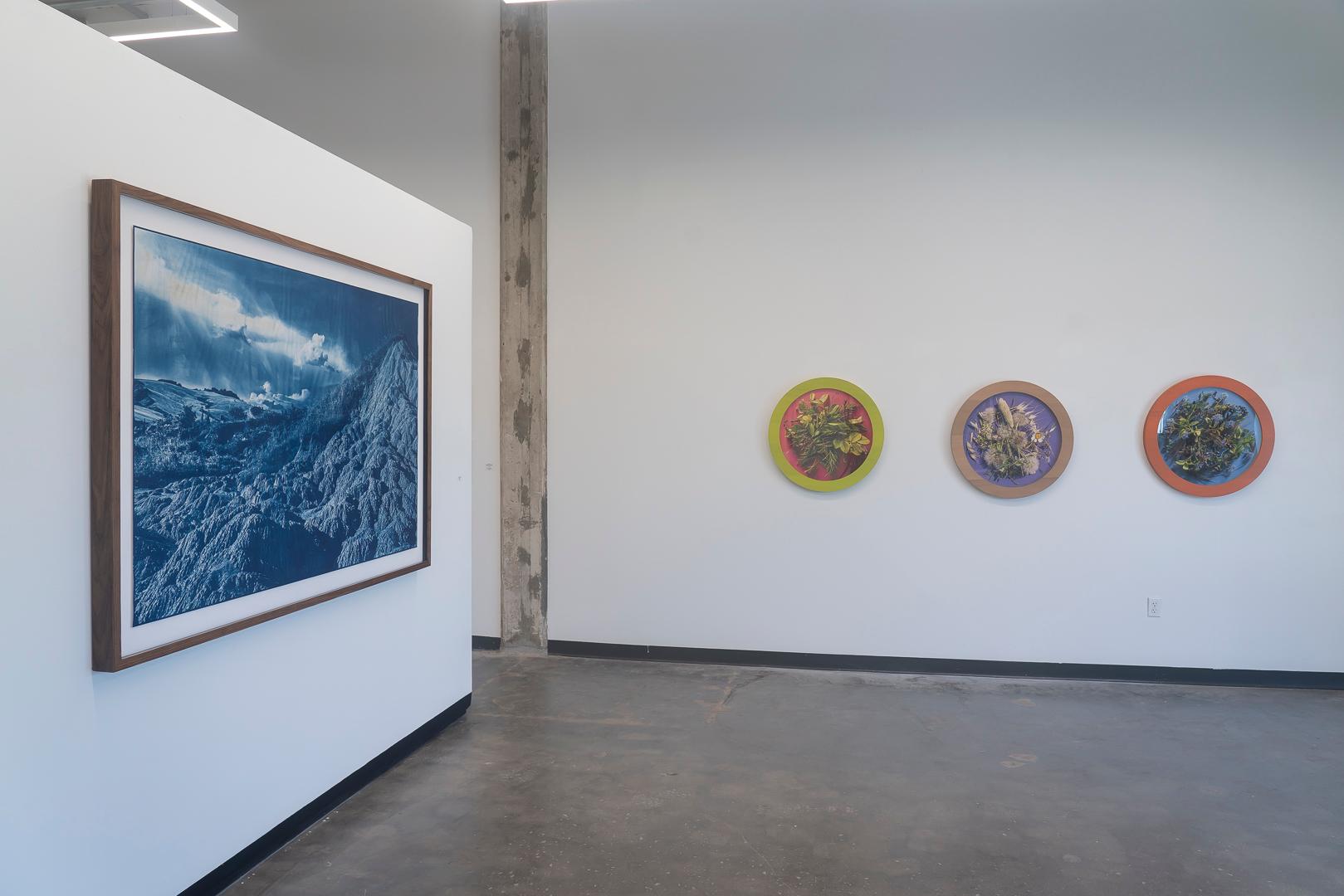 A Study of Neon Green(1/3), photographie florale contemporaine, cadre rond 2