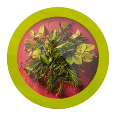 A Study of Neon Green(1/3), Contemporary Floral Photography, Round Frame