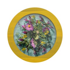 A Study of Pink(1/3), Contemporary Floral Photography, Round Frame