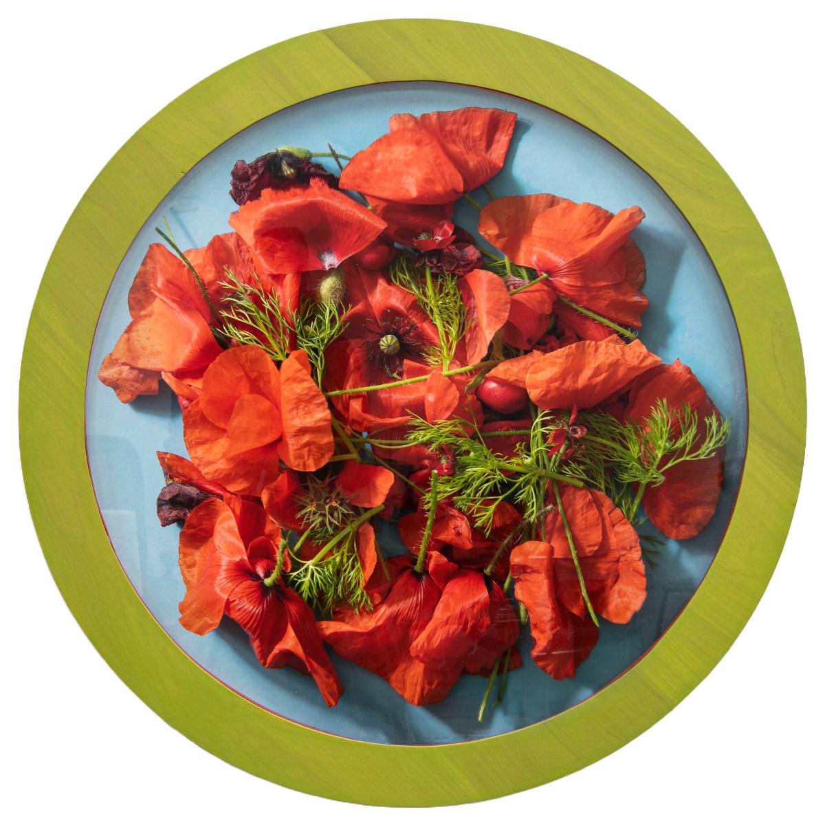 Kalee Appleton (American) Color Photograph - A Study of Poppies(1/3), Contemporary Floral Photography, Round Frame