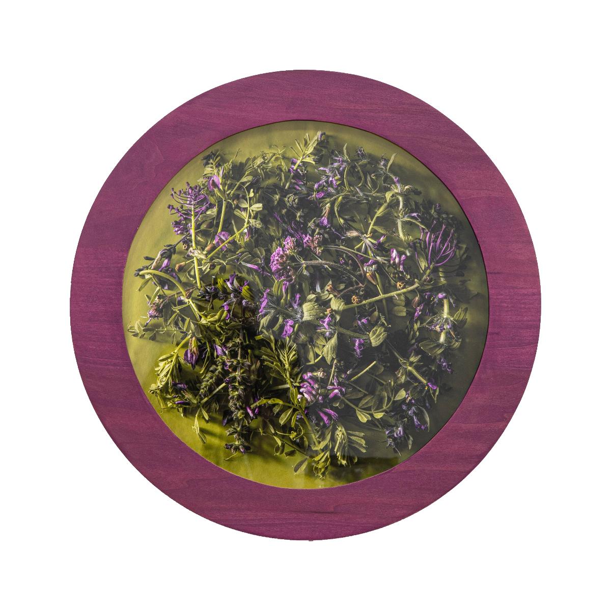 Kalee Appleton (American) Color Photograph - A Study of Purple(1/3), Contemporary Floral Photography, Round Frame