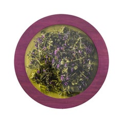 A Study of Purple(1/3), Contemporary Floral Photography, Round Frame